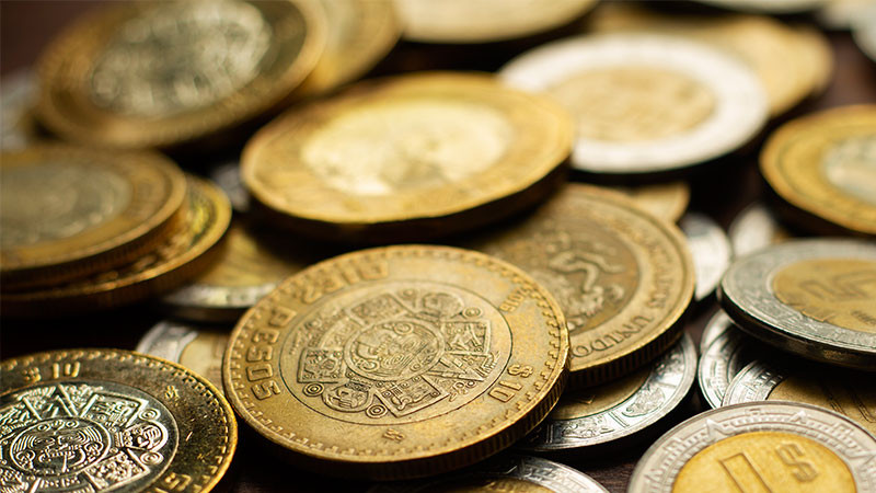 La Cámara de Diputados se entera del futuro monetario: Análisis crítico sobre el plan de modernización de las monedas de 10 y 20 pesos